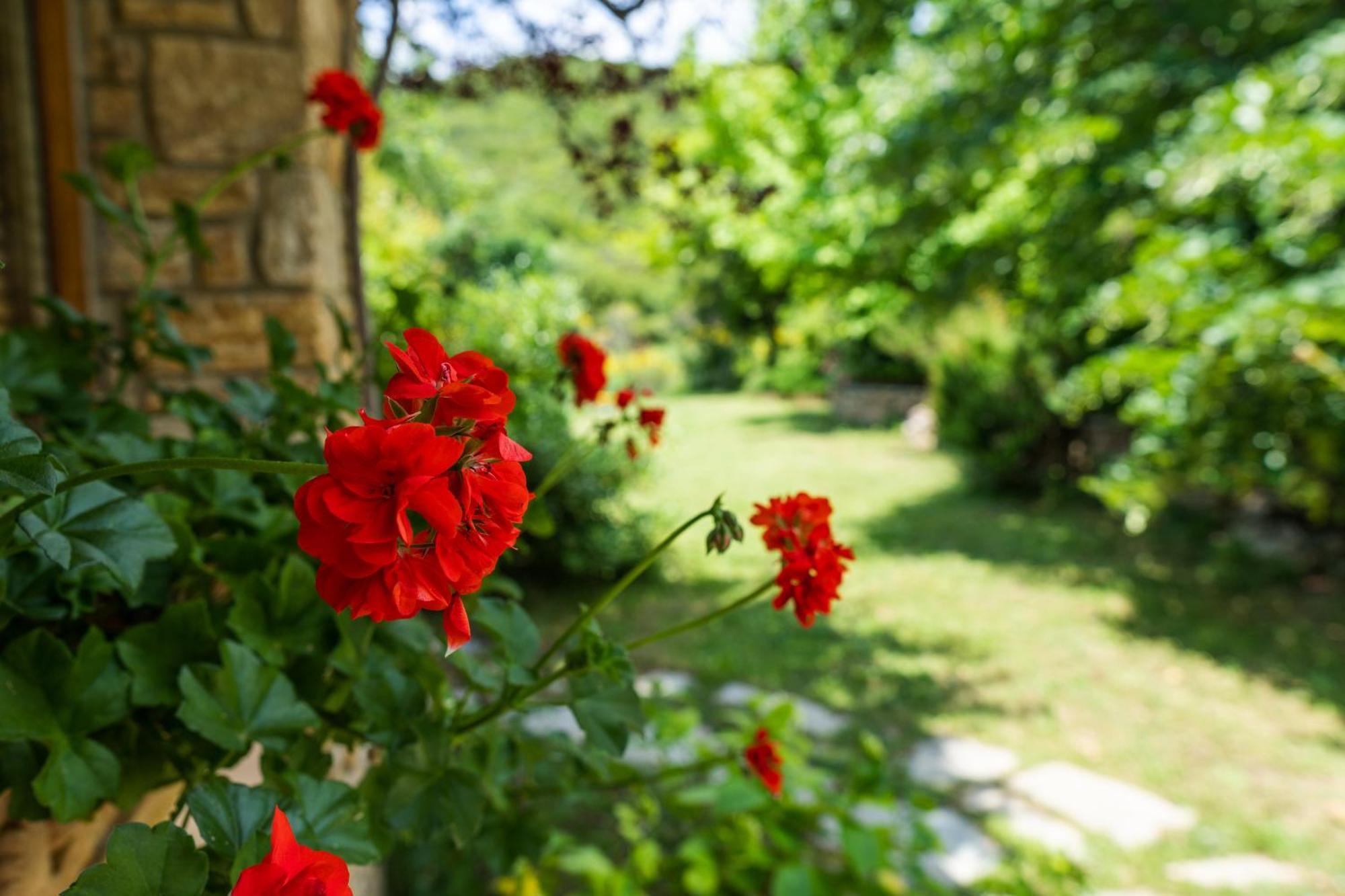 Country Cottage I & Country Cottage II Polygyros ภายนอก รูปภาพ